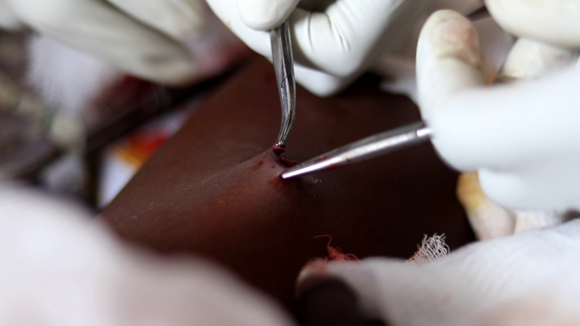 استشهاد 12 صوماليا أغلبهم أطفال ونساء في سلسلة غارات أمريكية جنوب الصومال 13 vlcsnap 2025 11 16 09h26m16s640