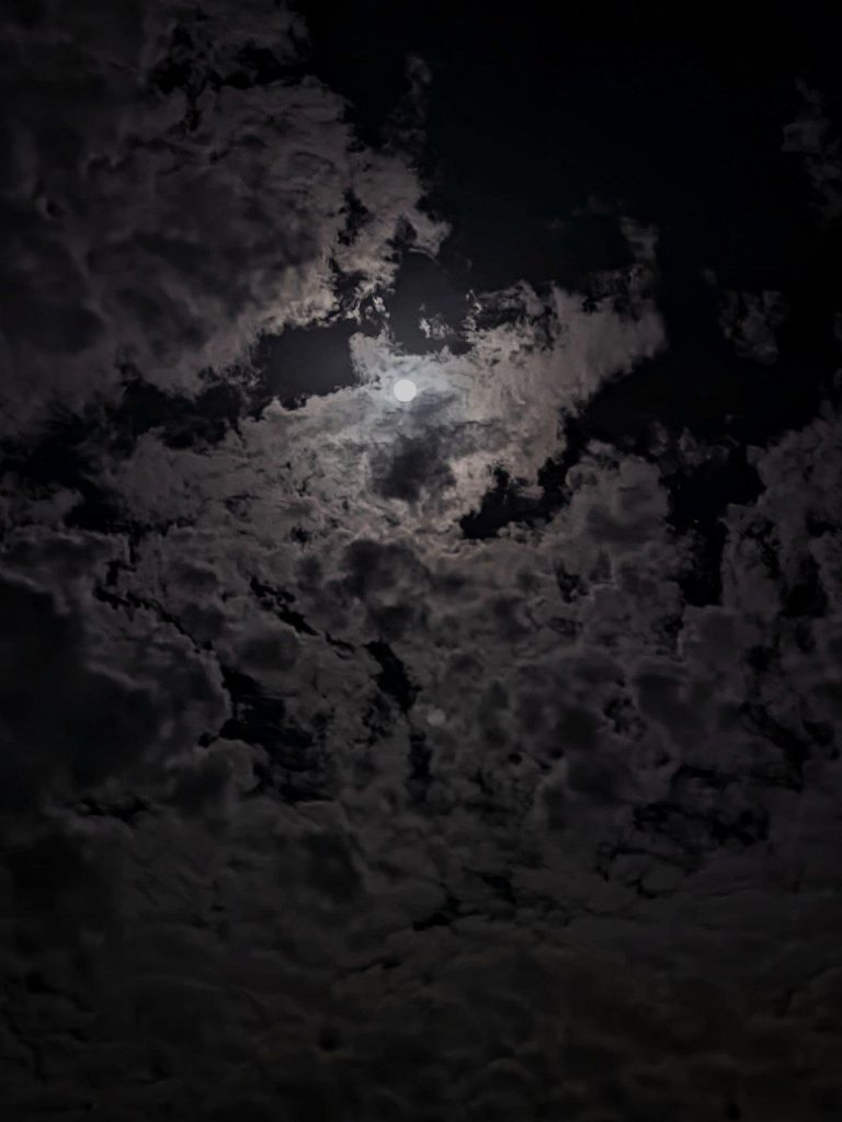 حصاد الأسبوع: أبرز الصور من العالم الإسلامي 33 1000026504