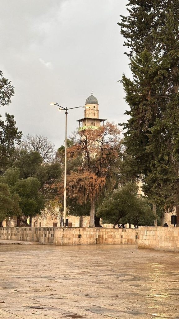 حصاد الأسبوع: أبرز الصور من العالم الإسلامي 24 1000026512