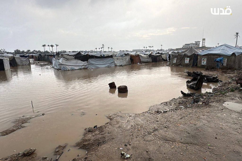 حصاد الأسبوع: أبرز الصور من العالم الإسلامي 13 1000026519