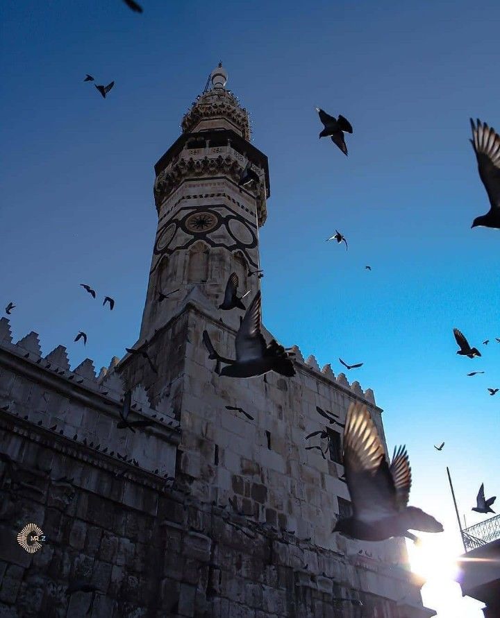 النظرة المثالية للحاكم في عصرنا في مقابل مرحلة الشيخين أبي بكر وعمر