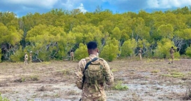 مقتل أكثر من 30 مدنيا وإصابة أكثر من 100 آخرين في غارة للقوات الخاصة الصومالية المدرّبة من الولايات المتحدة في الصومال 3 مقتل أكثر من 30 مدنيا وإصابة أكثر من 100 آخرين في غارة للقوات الخاصة الصومالية المدرّبة من الولايات المتحدة في الصومال