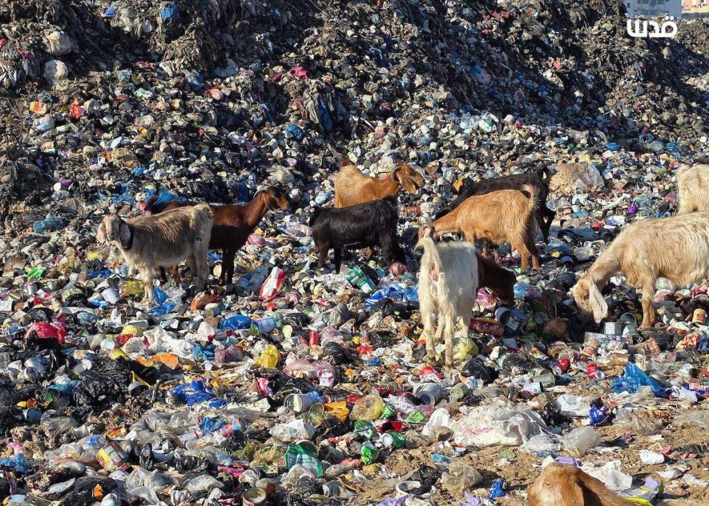 تقرير وصل الأسبوعي للعالم الإسلامي: أبرز أحداث الأسبوع الثالث من جمادى الثاني 8 photo 2025 12 12 08 43 41