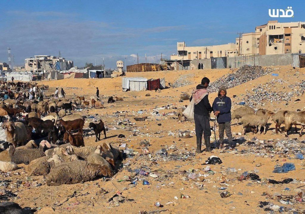 تقرير وصل الأسبوعي للعالم الإسلامي: أبرز أحداث الأسبوع الثالث من جمادى الثاني 7 photo 2025 12 12 08 43 45