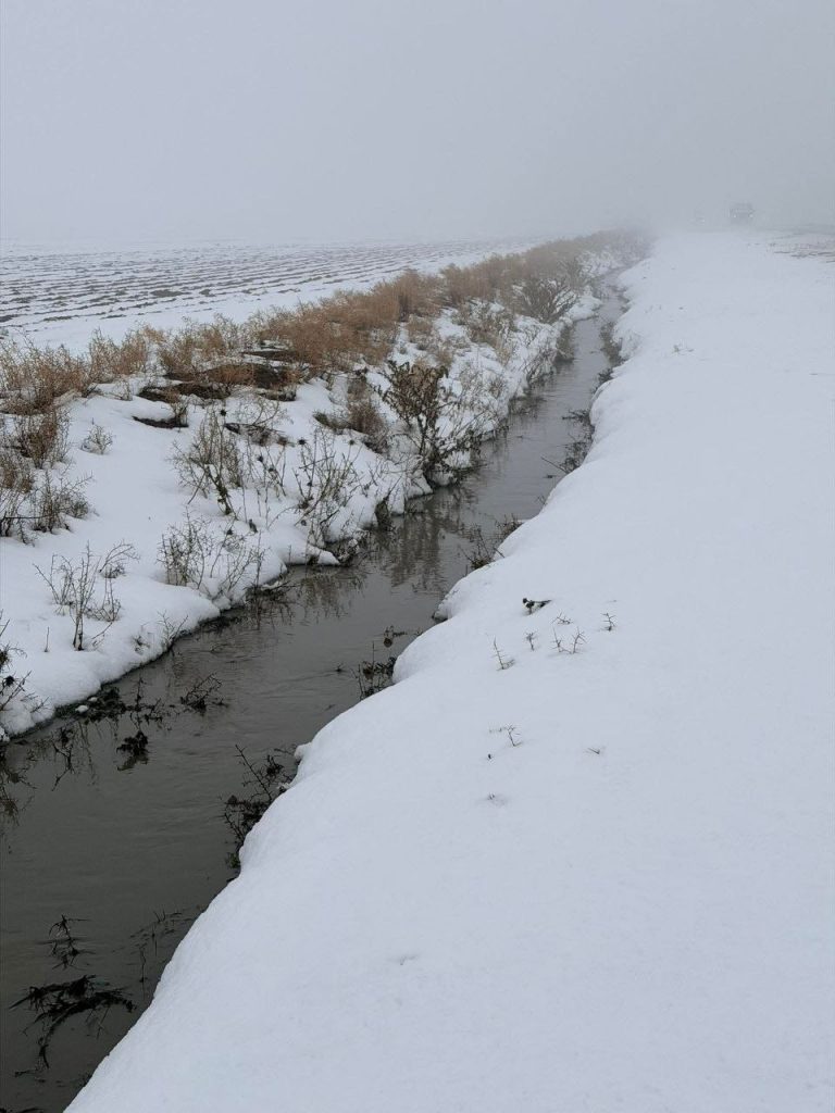 photo 2026 01 04 20 26 58