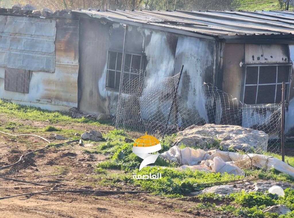 photo 2026 01 18 21 25 27