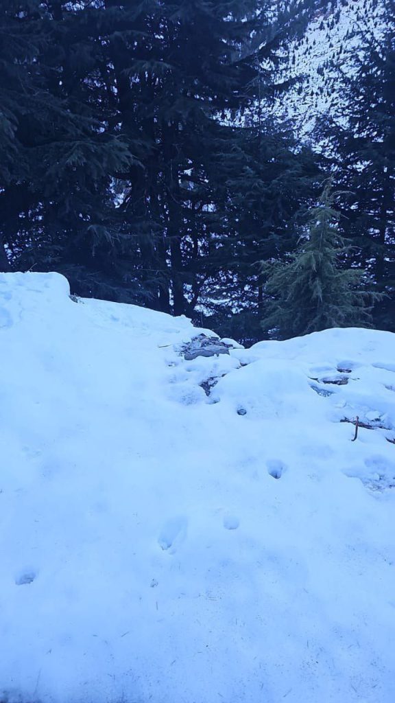 photo 2026 01 20 09 36 25