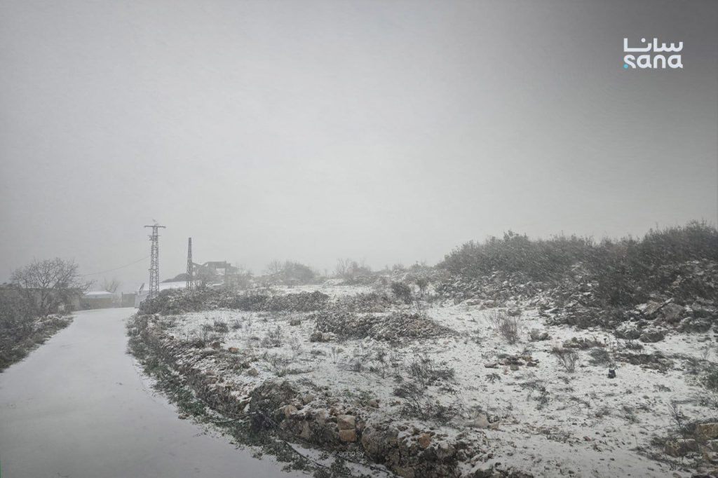 photo 2026 01 20 09 37 47