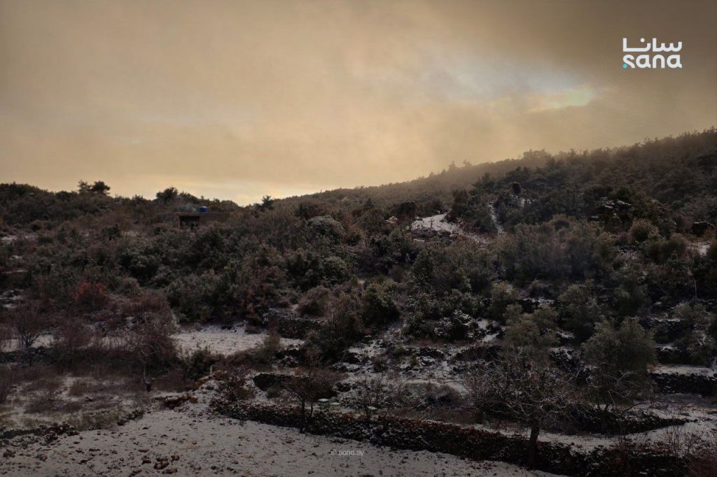 photo 2026 01 20 09 37 53