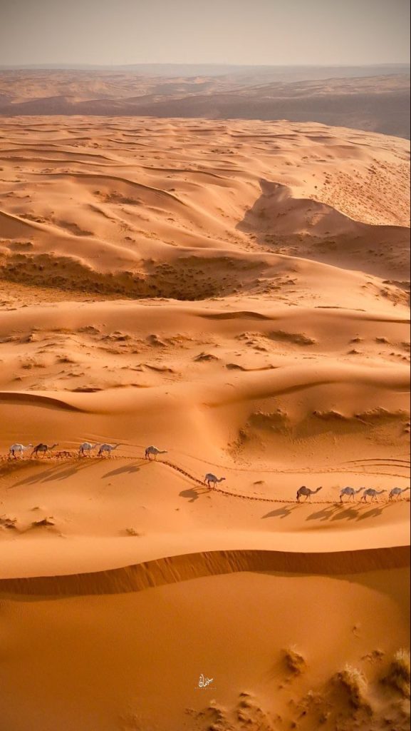 photo 2026 01 20 10 08 34