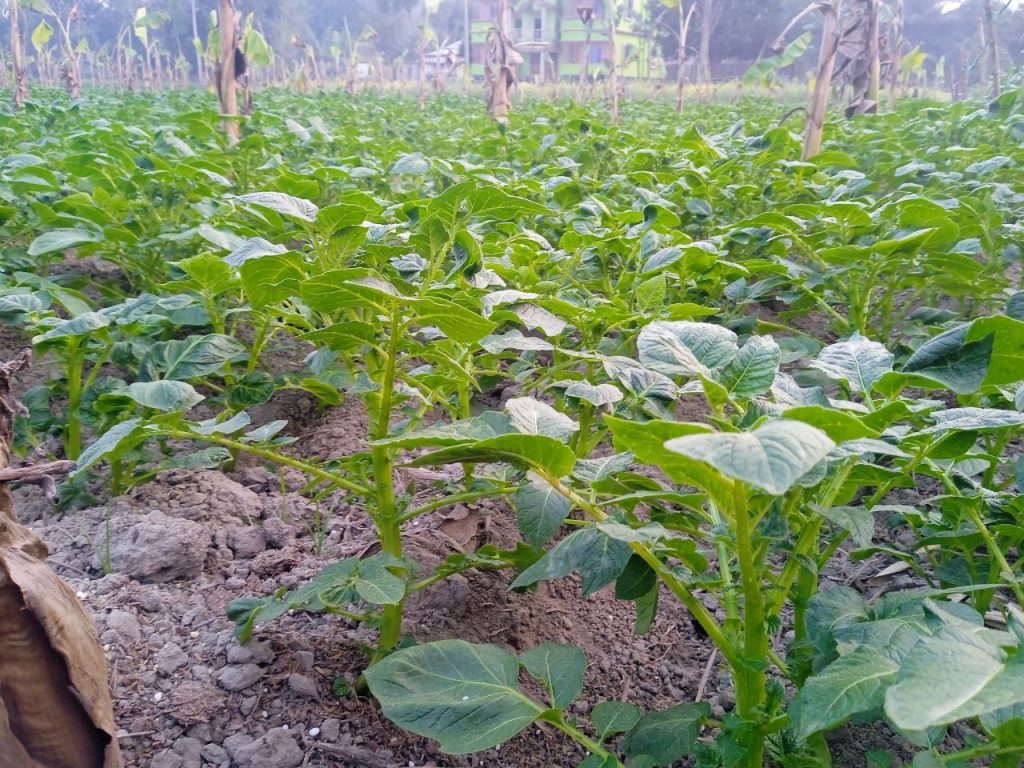 photo 2026 01 20 10 46 42