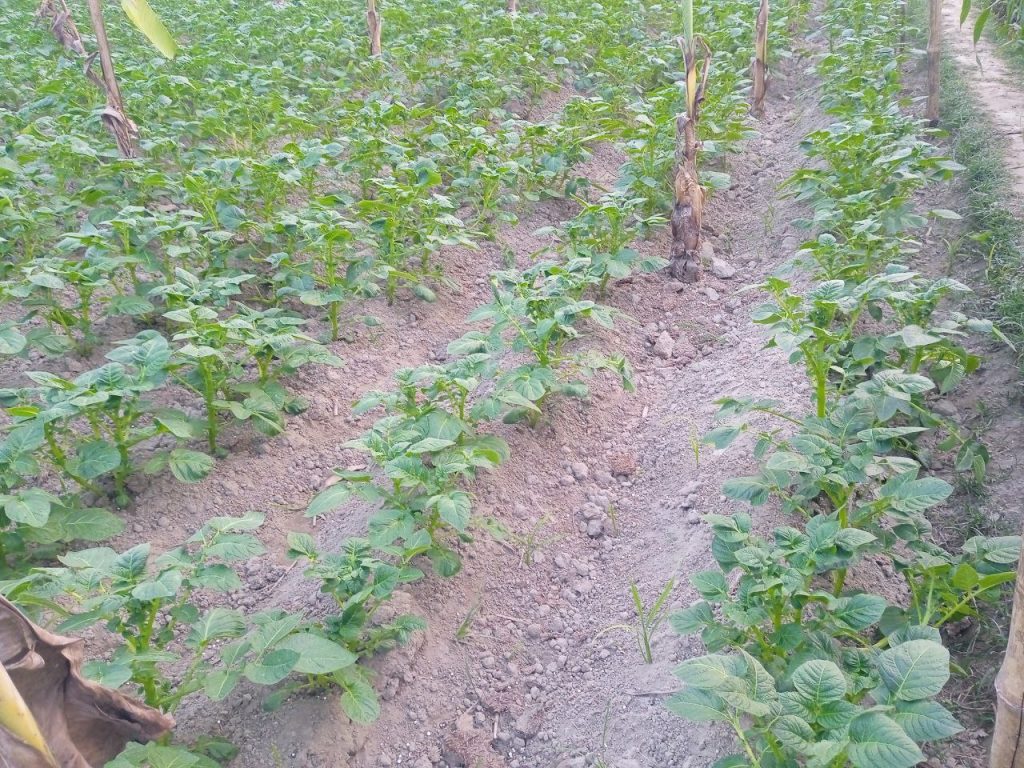 photo 2026 01 20 10 46 45