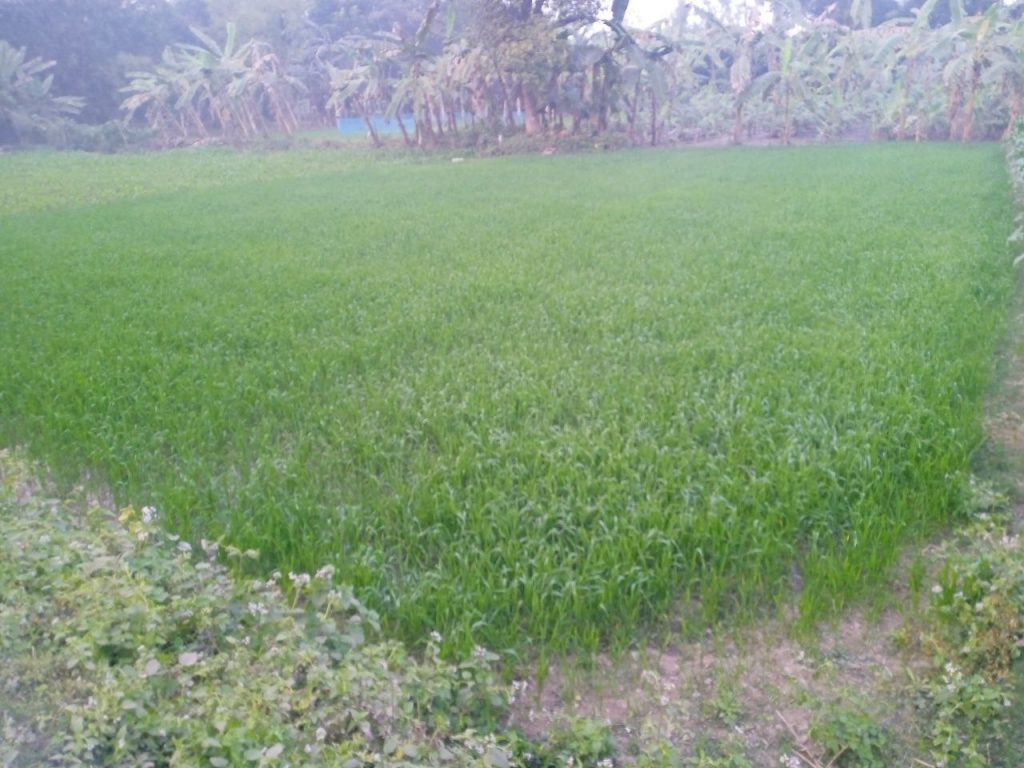 photo 2026 01 20 10 47 55