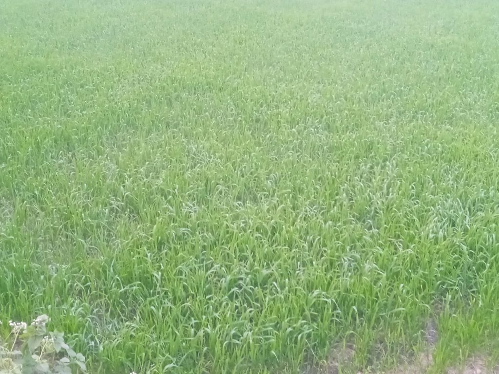 photo 2026 01 20 10 47 59