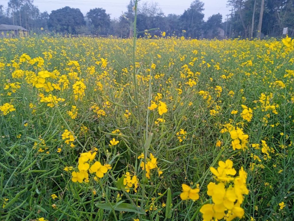 photo 2026 01 20 10 48 38