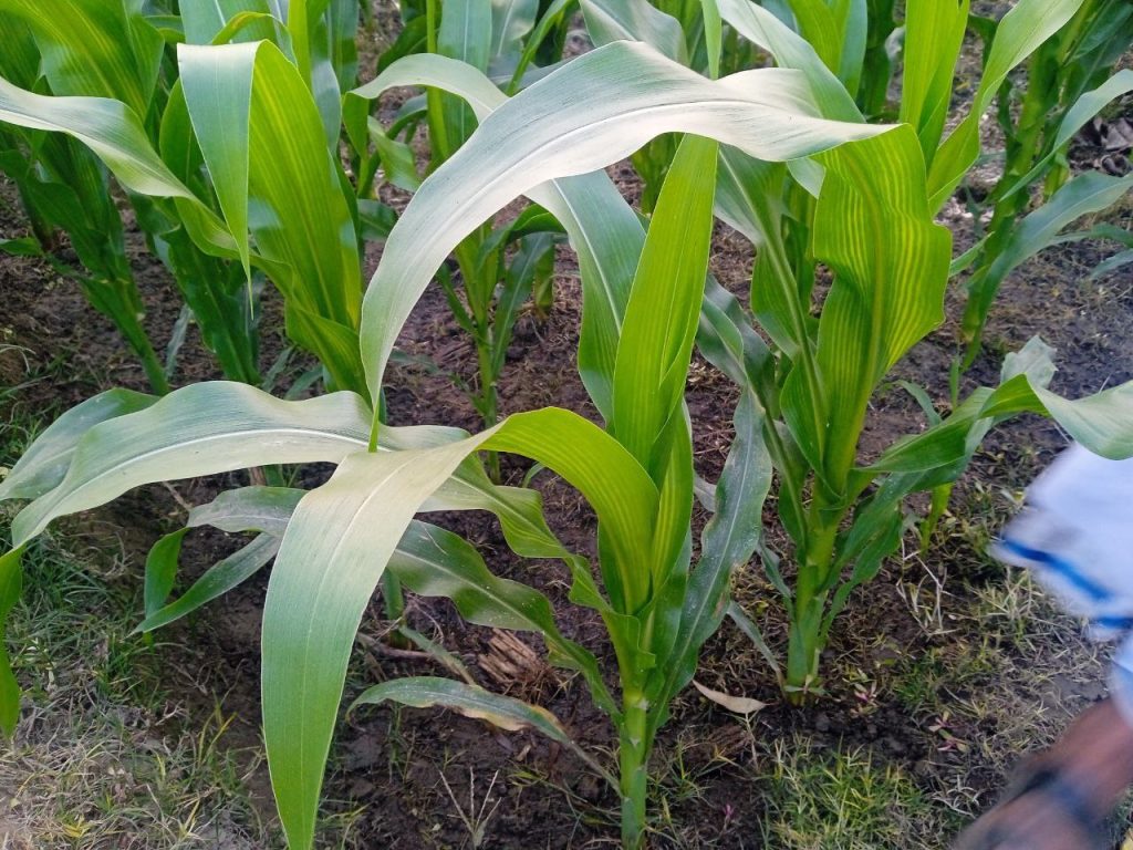 photo 2026 01 20 10 49 20