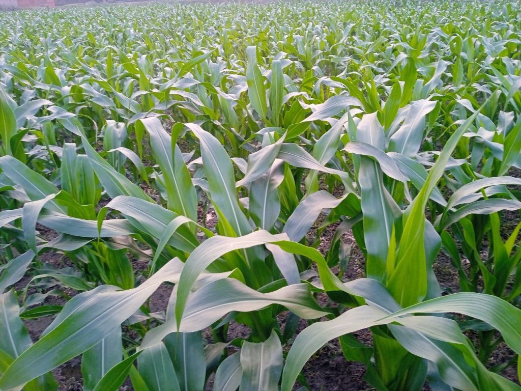 photo 2026 01 20 10 49 23