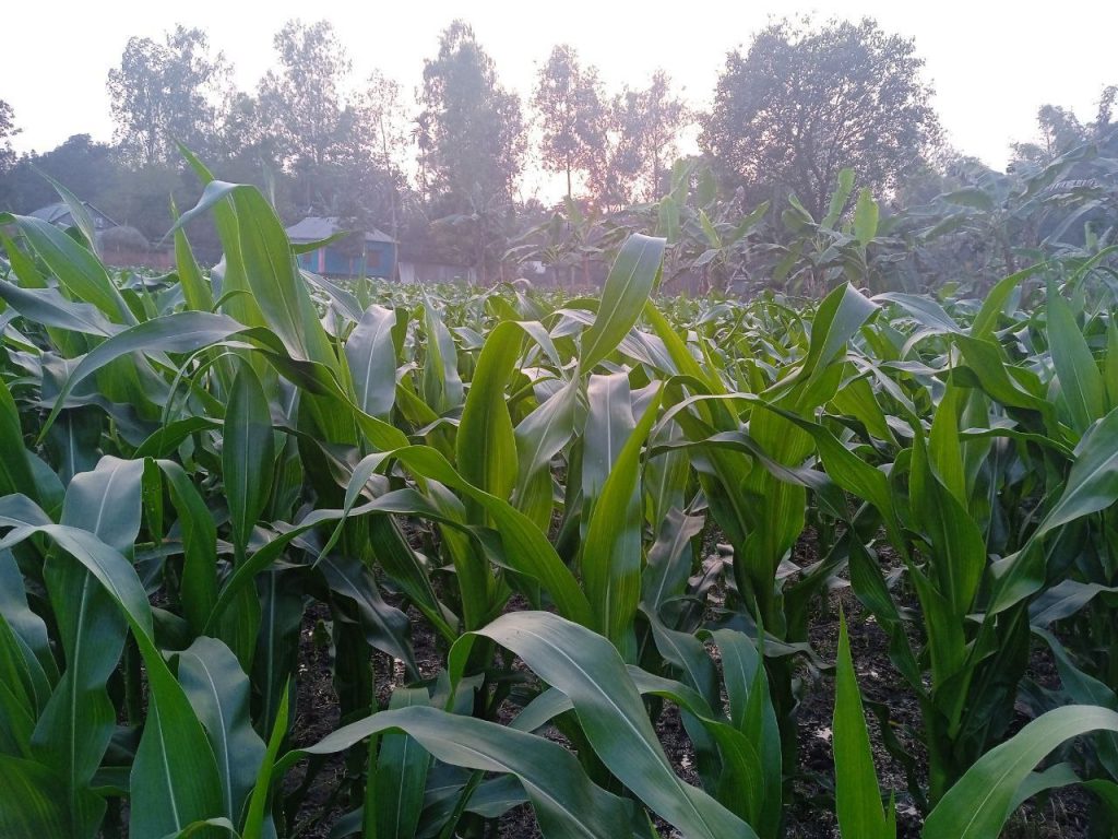 photo 2026 01 20 10 49 26