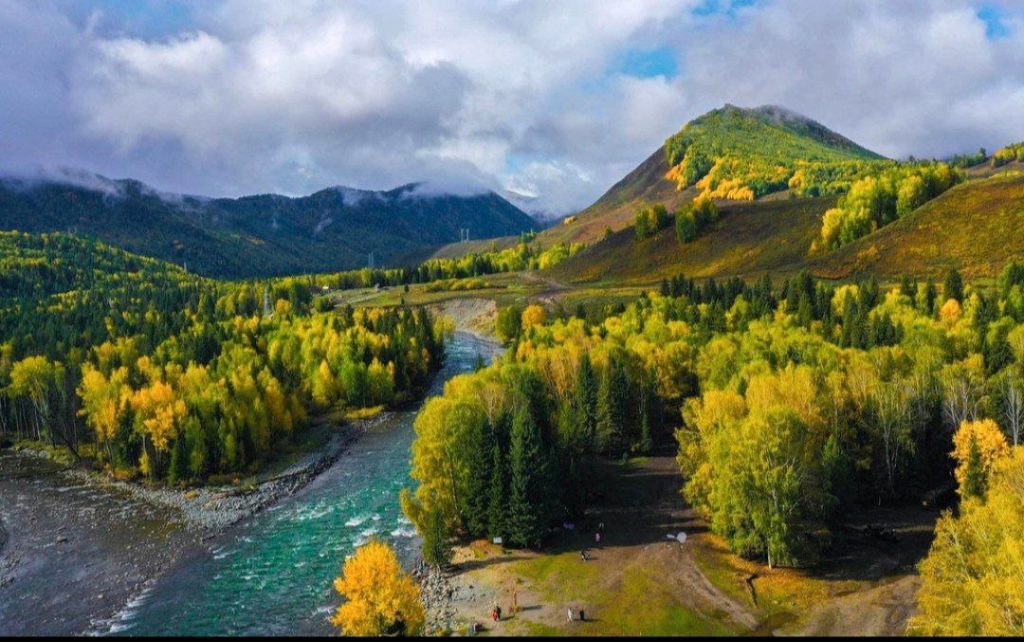 photo 2026 01 20 10 59 45