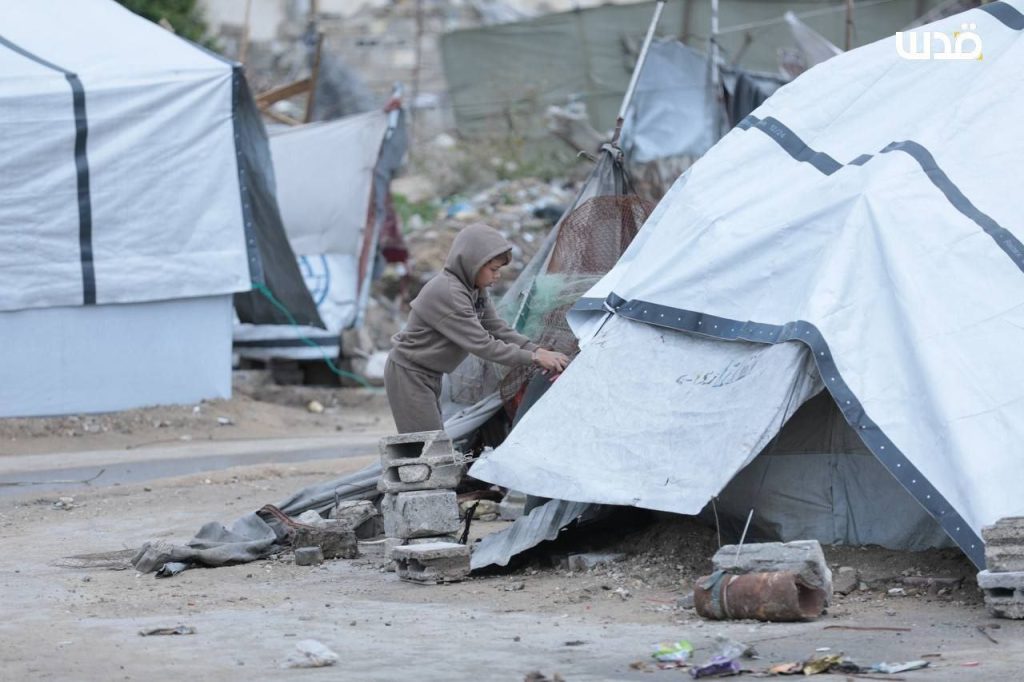 photo 2026 01 20 11 16 06