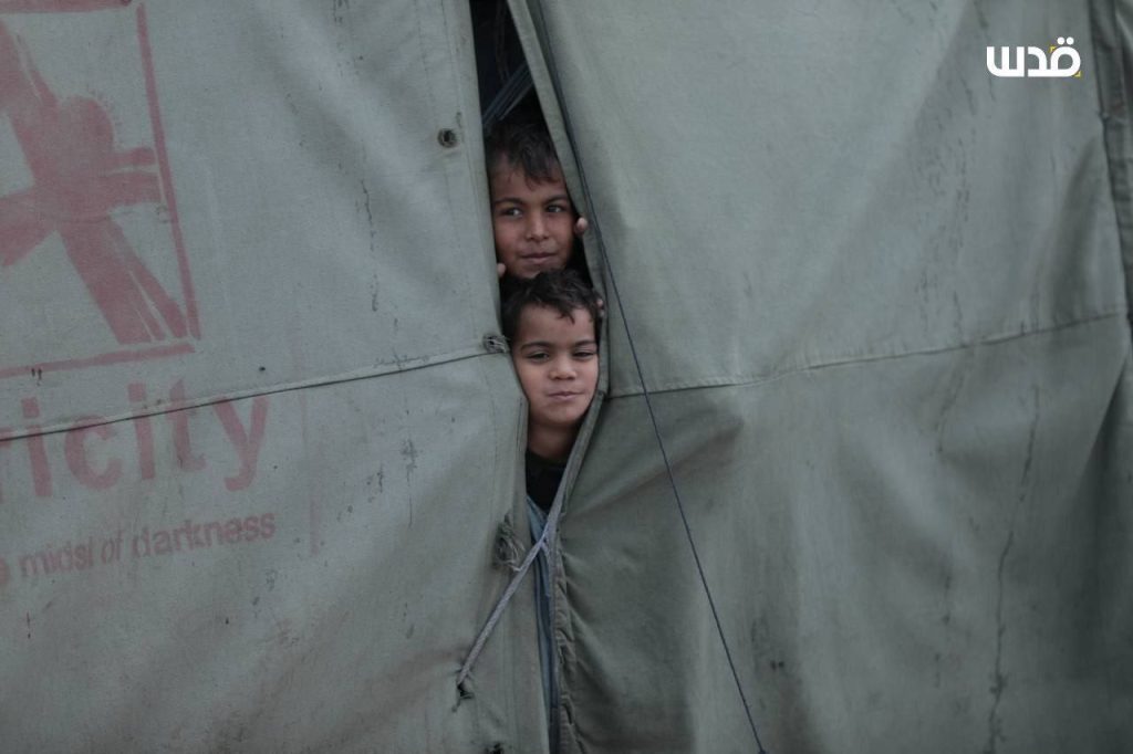 photo 2026 01 20 11 16 08