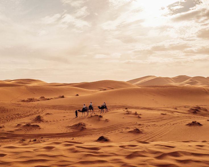 قضية الصحراء بين المغرب والأحقية التاريخية والبوليساريو والدعم الجزائري.. أين الحل؟ 2 قضية الصحراء بين المغرب والأحقية التاريخية والبوليساريو والدعم الجزائري.. أين الحل؟