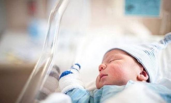 مواليد غزة: أرقام تتحدث عن معاناة إنسانية عميقة 2 مواليد غزة: أرقام تتحدث عن معاناة إنسانية عميقة