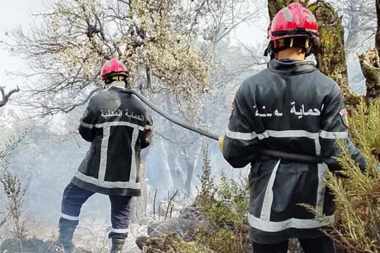 حرائق الجزائر تتسع وسط موجة حر غير مسبوقة.. آلاف الهكتارات تلتهمها النيران واستنفار واسع لفرق الإطفاء 3 algetr 5 1784131252