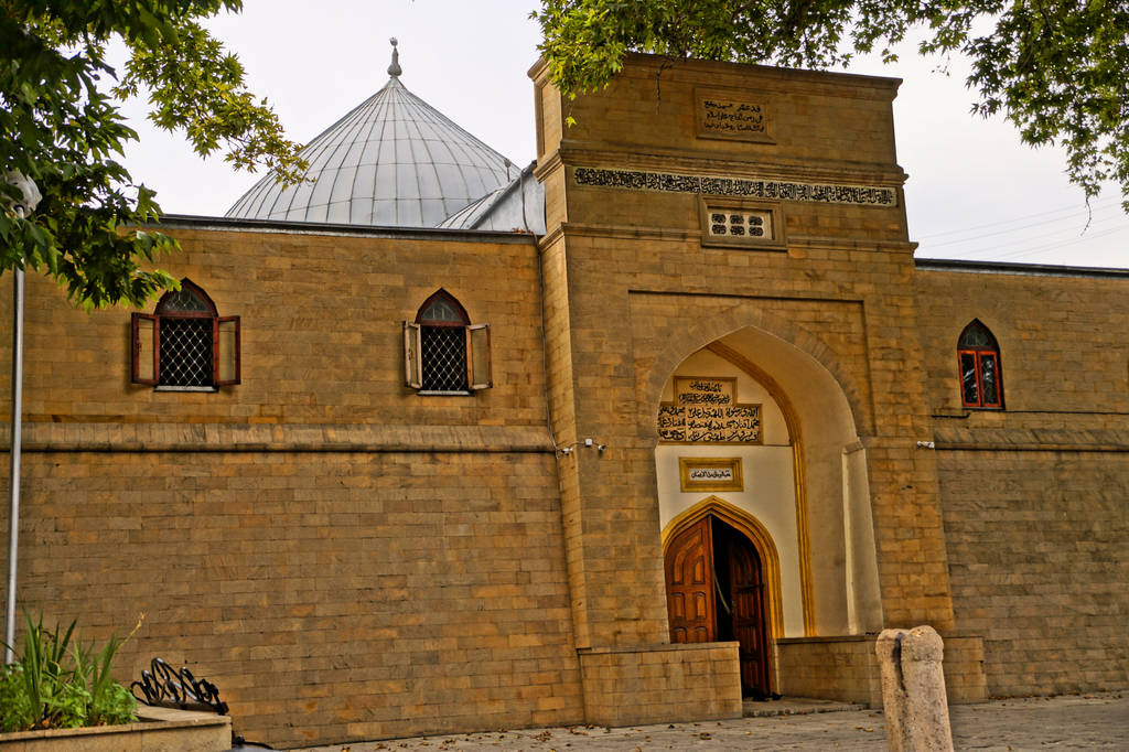 image 101
